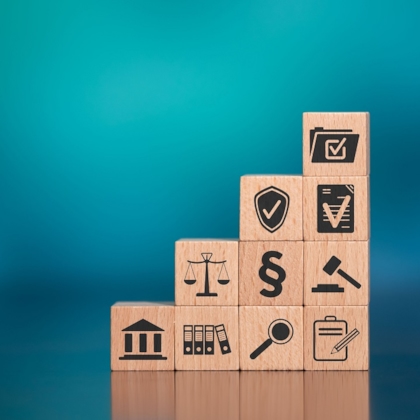 puzzle governance organizzazioni