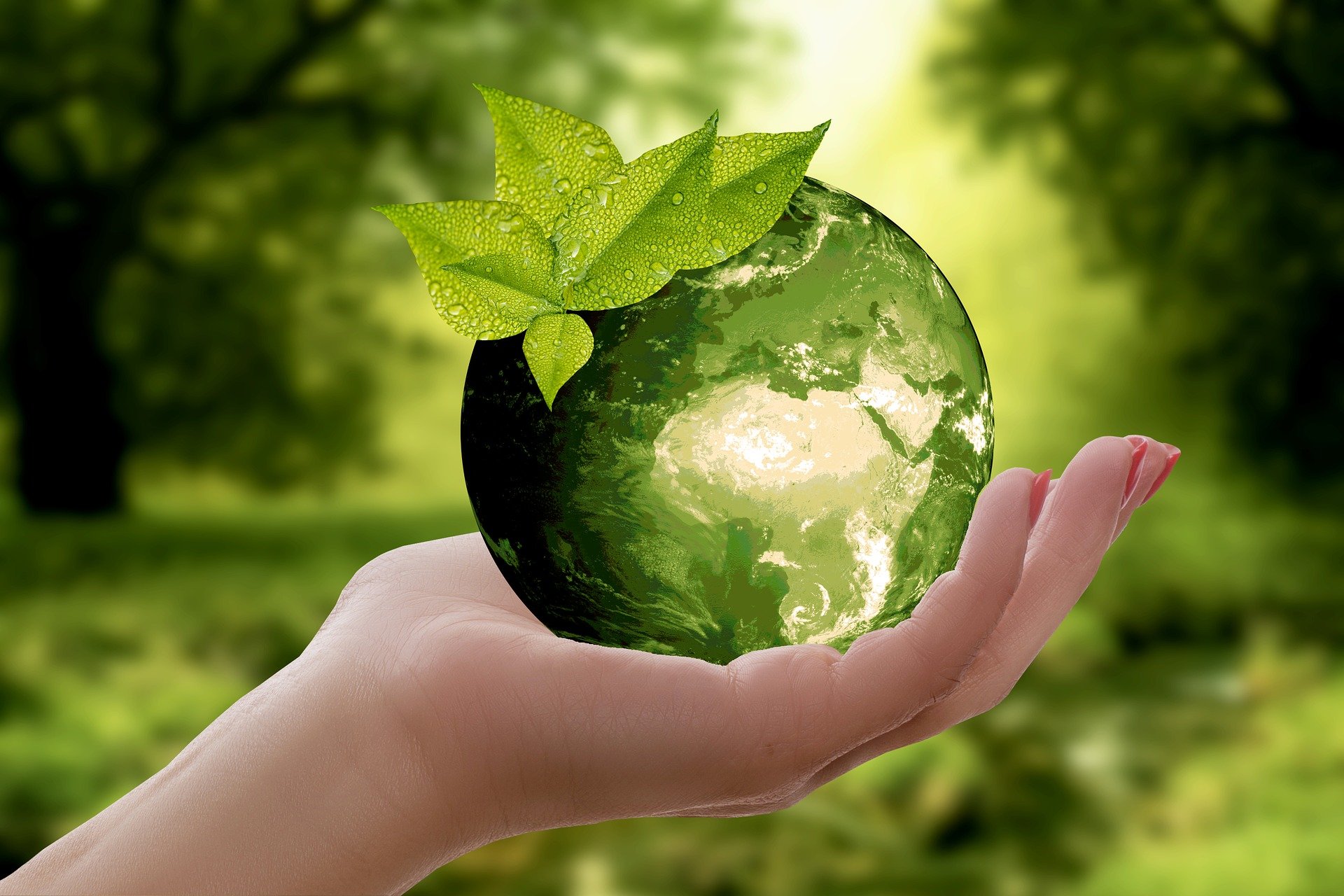natura