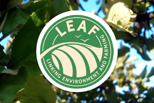 Logotipo circular verde de LEAF con el texto “Linking Environment and Farming” sobre un fondo de hojas y cielo.