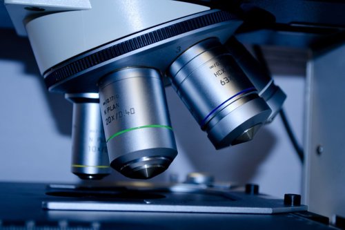 Close-up of a laboratory microscope with multiple objective lenses in a scientific setting.