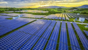 Field full with solar panels