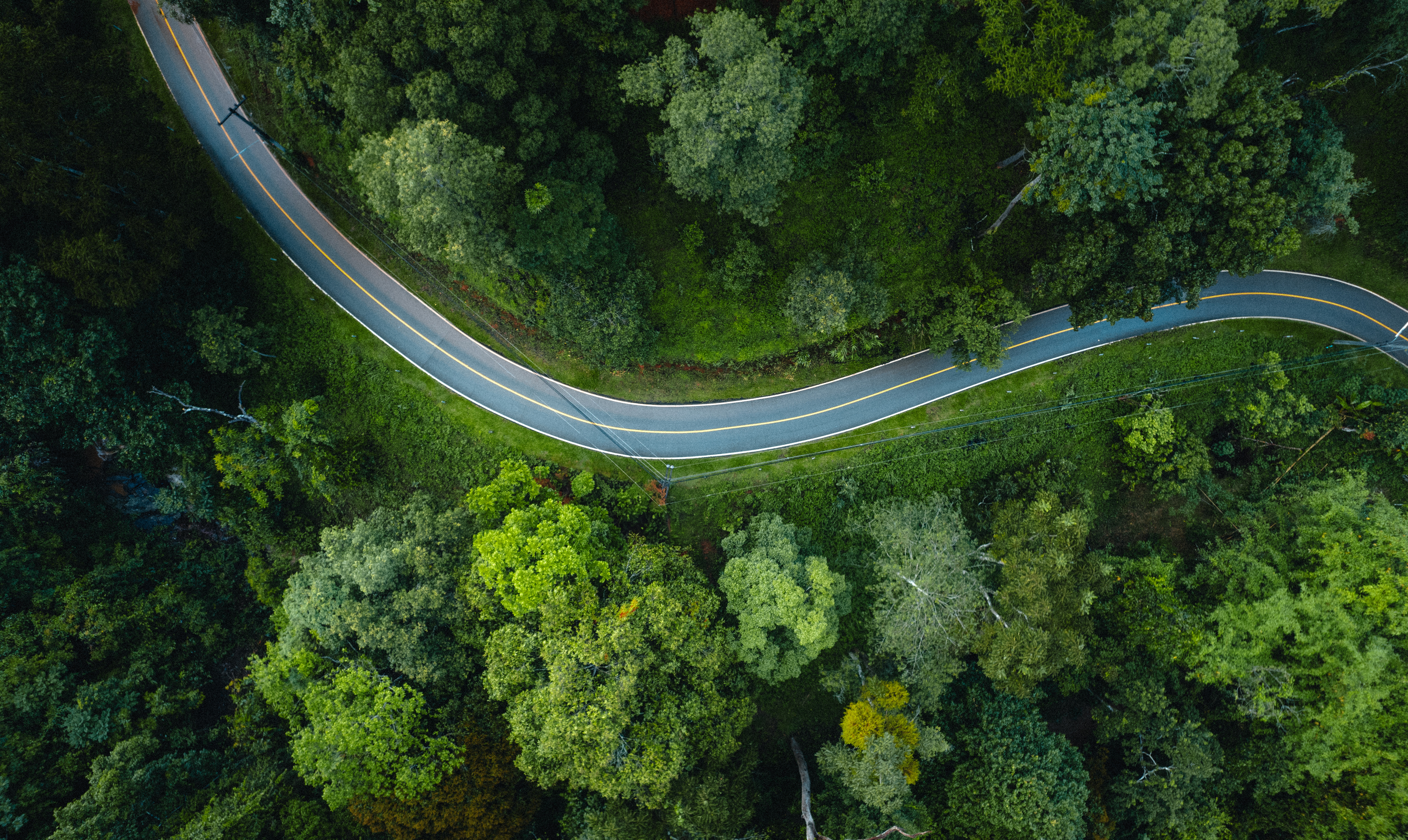 Aerial view of a winding paved road cutting through dense green forest canopy.