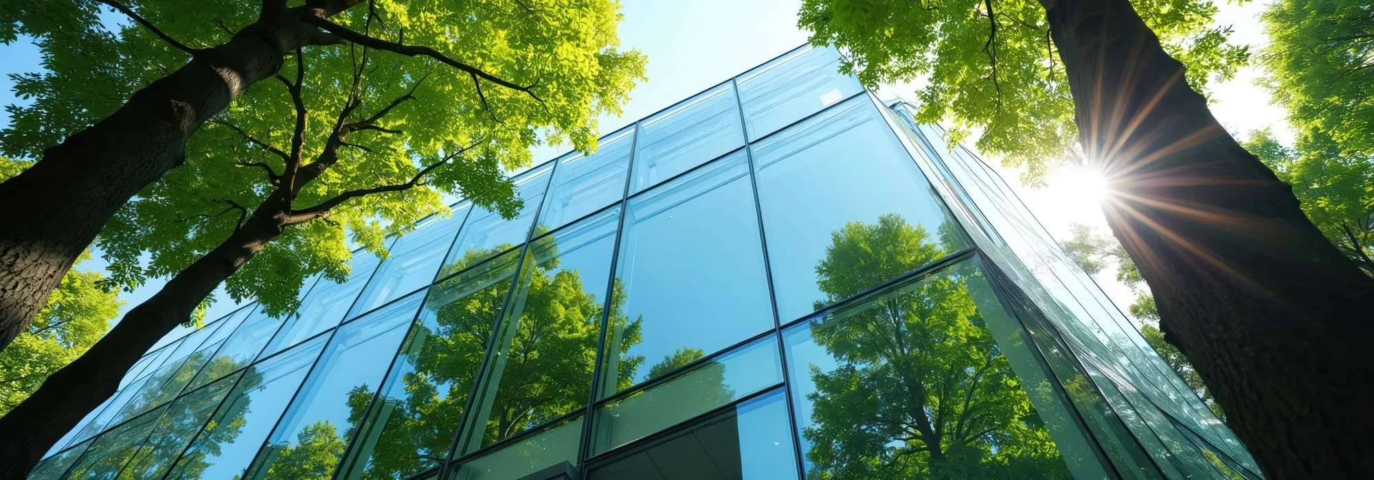 Nieuw glazen gebouw, omringd door groene bomen en badend in het zonlicht