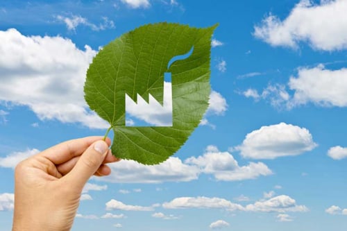 蓝天叶子环境气候