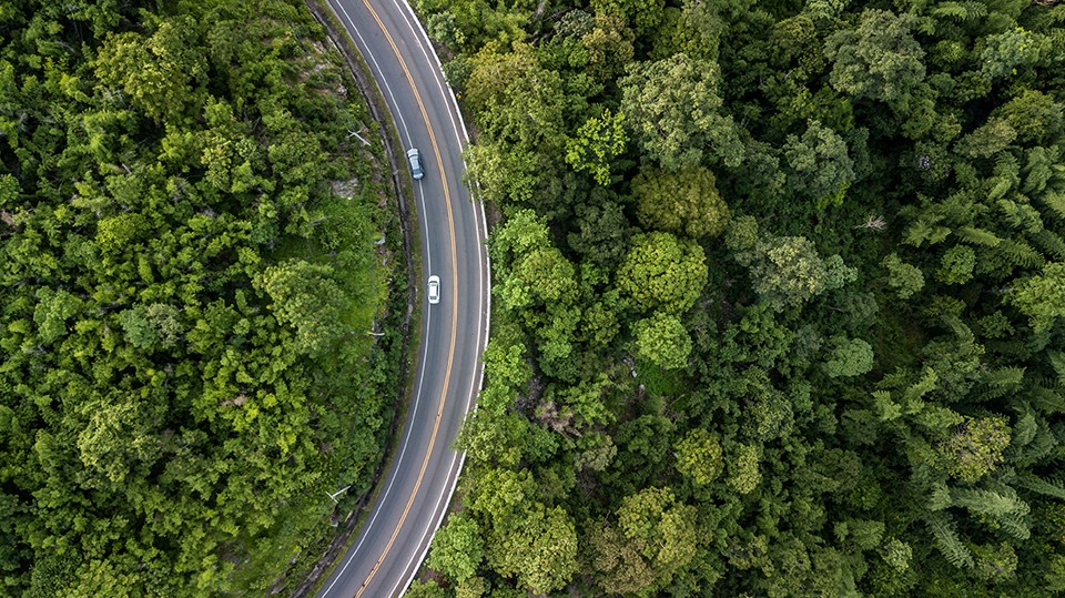 Luftaufnahme einer kurvigen Straße durch dichten grünen Wald mit zwei Autos.
