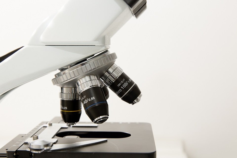microscopio