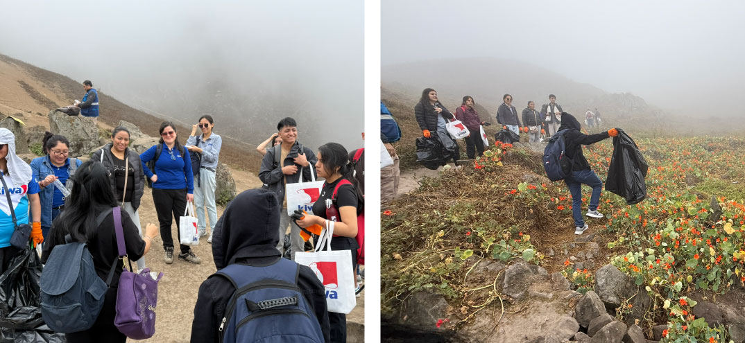Momentos Kiwa Perú Lomas del Mirador