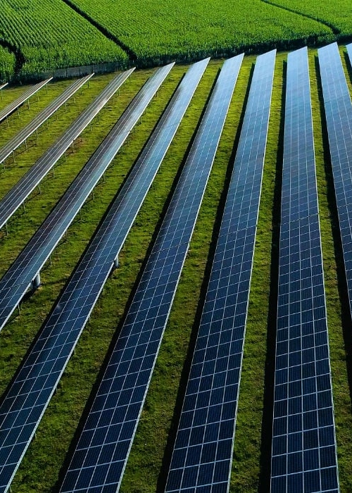 Solar panels in a field as sustainable solution