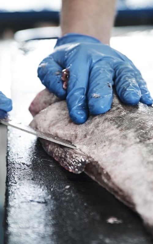 fish butchering