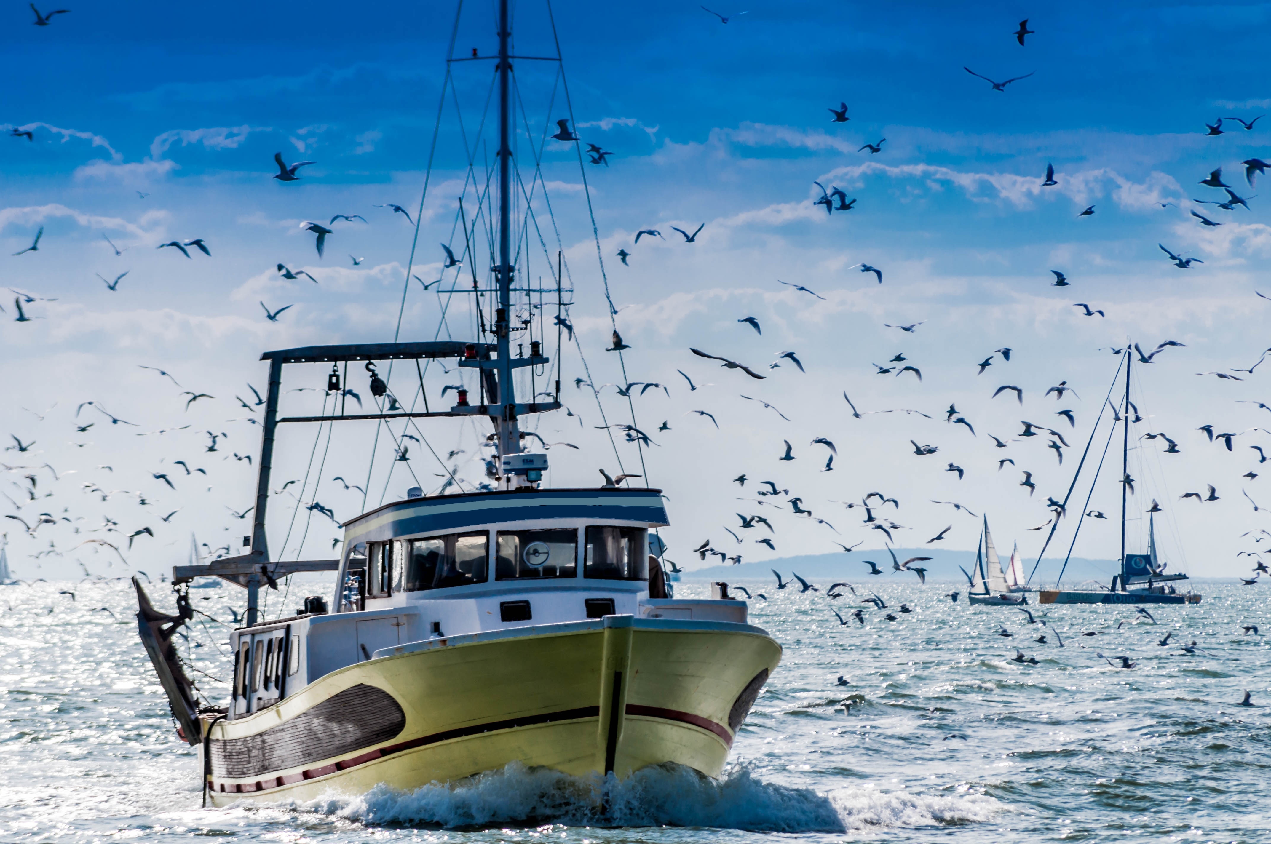 Fishing