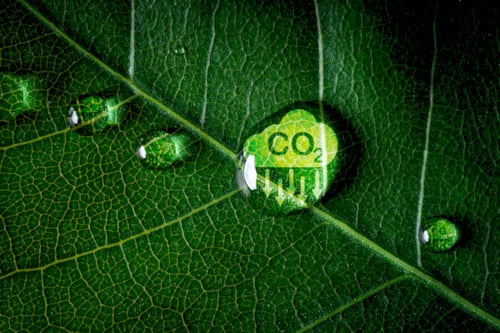 carbon
