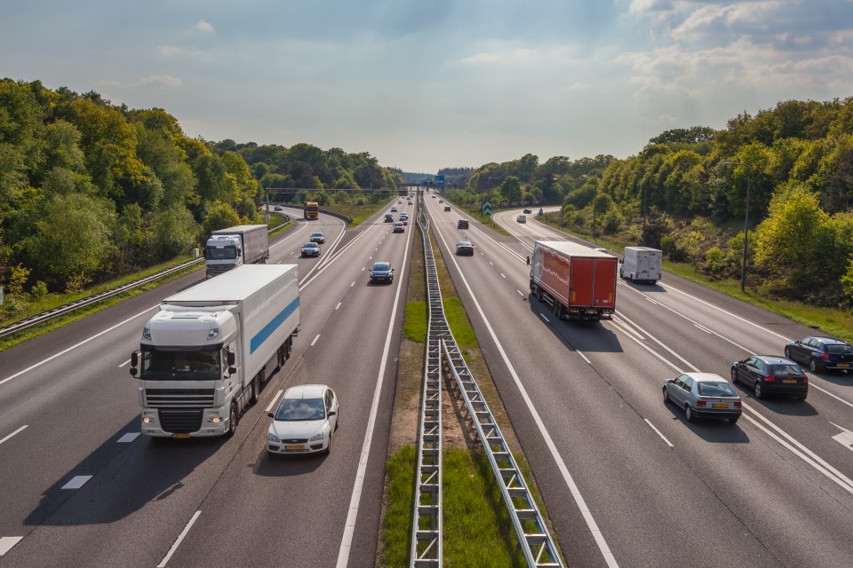 Drukke snelweg met auto’s en vrachtwagens, omgeven door groene bomen en een heldere lucht.