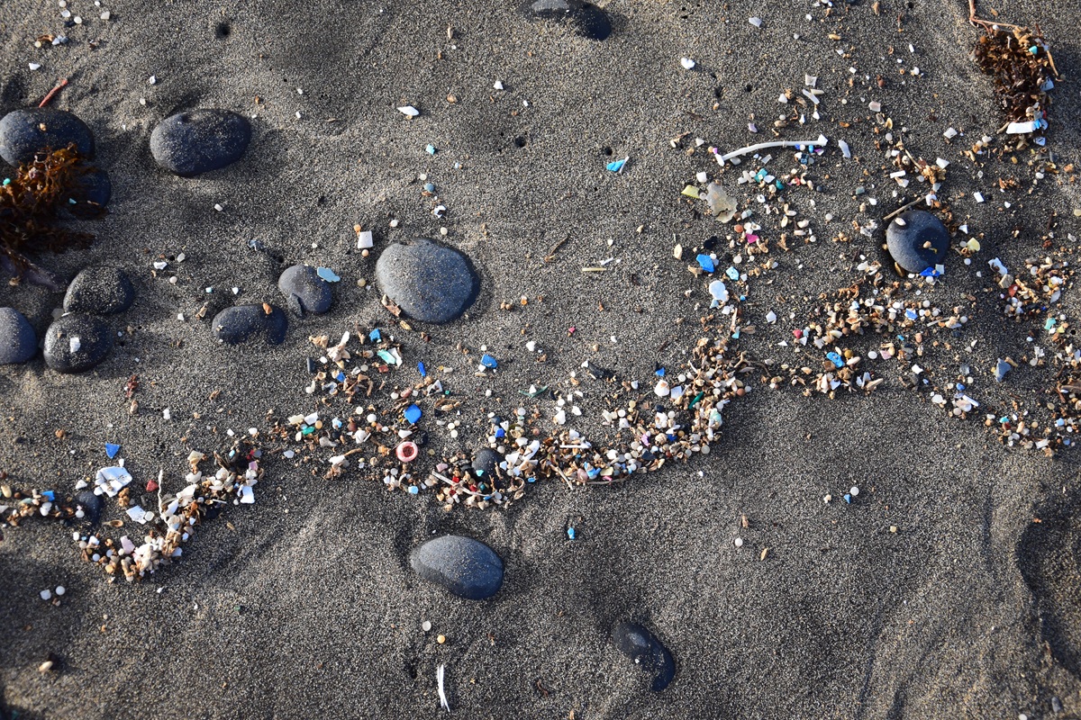 Donker zandstrand met verspreide zwarte stenen en een strook aangespoeld plastic en microplastics.