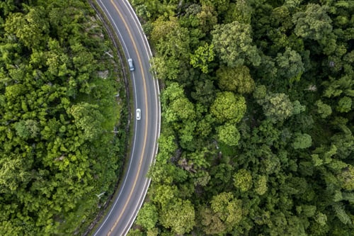 A long highway between the woods