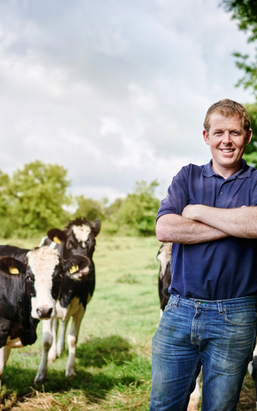 Proud farmer standing in the fields amongst 4 of his black and white colored cows