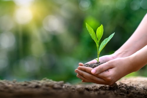 iso 14001